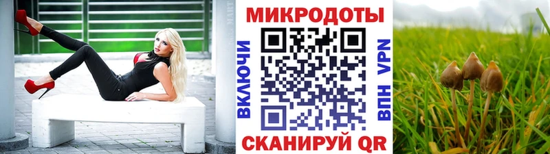 Псилоцибиновые грибы Cubensis  где можно купить   Покровск 